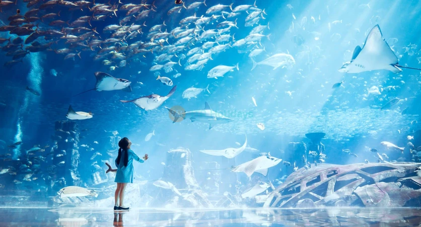 Lost Chambers Aquarium marine life at Atlantis