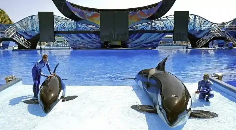 Sea World Abu Dhabi