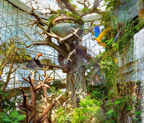 The Green Planet indoor rainforest