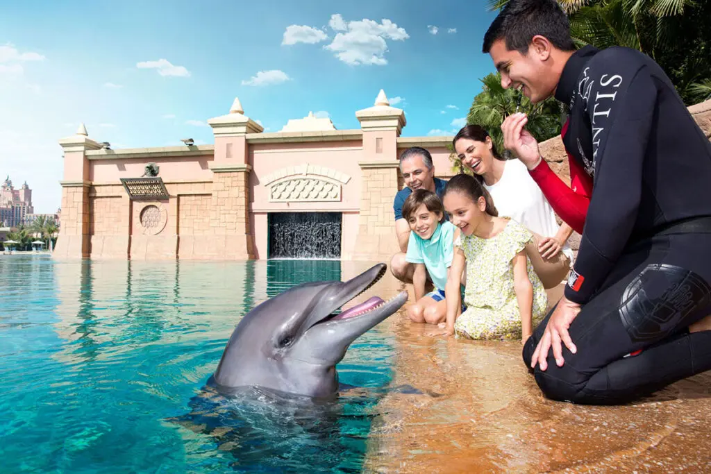 Dolphin Bay interaction experience